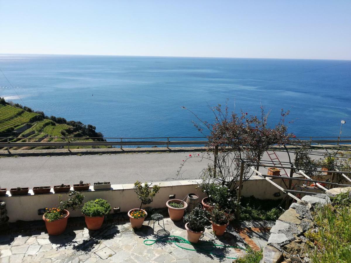 La Serra Sul Mare Monterosso al Mare Esterno foto